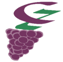 Weingut & Besenwirtschaft Czech